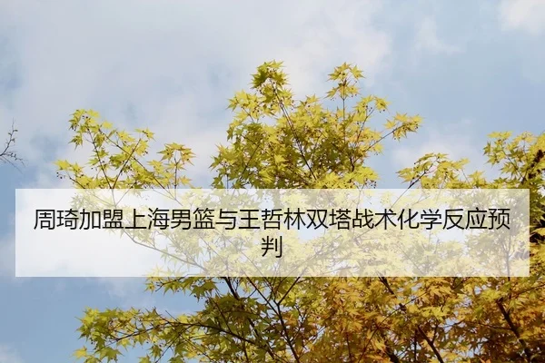 zhou-qi-jia-meng-shang-hai-nan-lan-yu-wang-zhe-lin-shuang-ta-zhan-shu-hua-xue-fan-ying-yu-pan-3-912.jpg